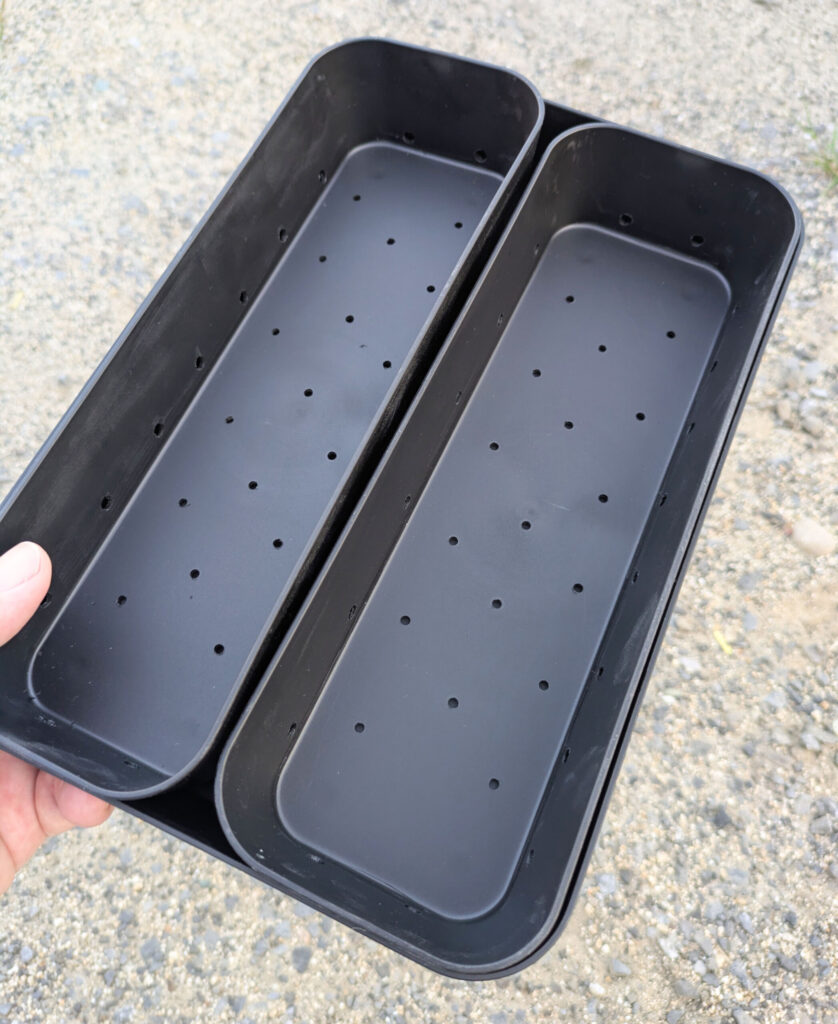 オアハカ産のオテロイを播いた日からの育成記録