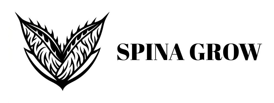 SPINAGROW
